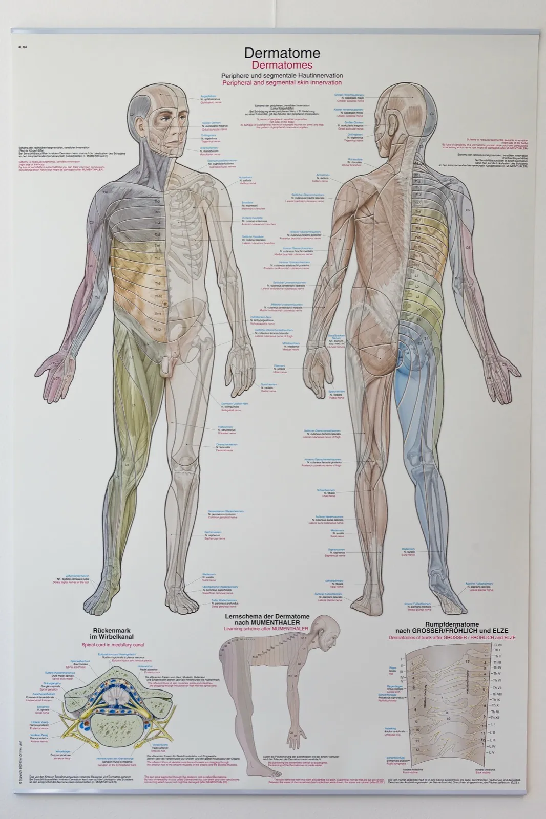 Orthopädie & Traumatologie